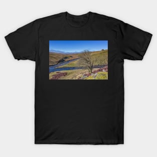 Meldon Hill and Golden Mea T-Shirt